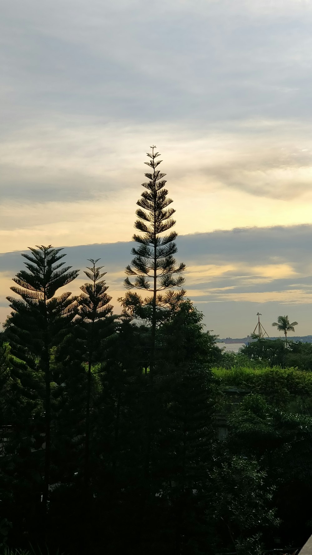 green trees under cloudy sky during daytime