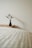 Minimalist shelf displaying elegant vases and small plants in a bright, modern room.