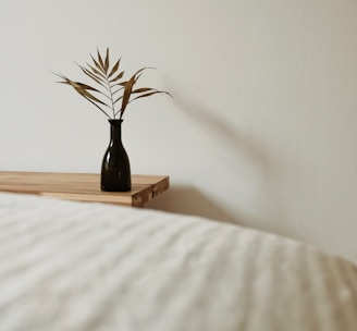 brown and green plant on brown wooden table