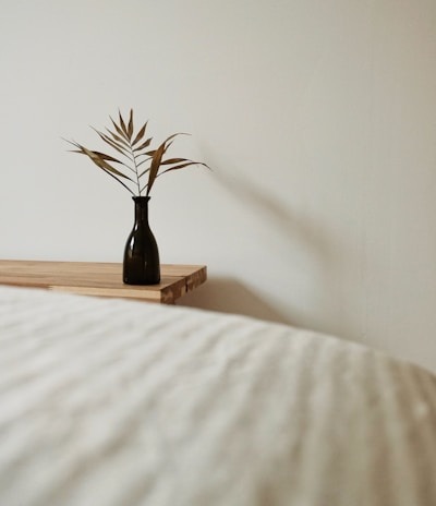 brown and green plant on brown wooden table