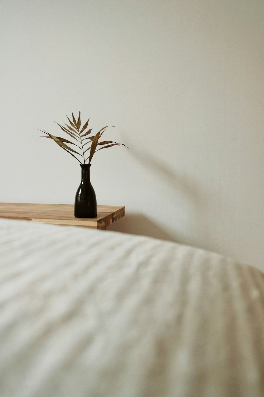 brown and green plant on brown wooden table