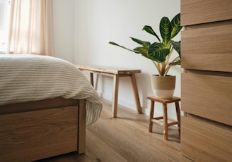 green plant on brown wooden table