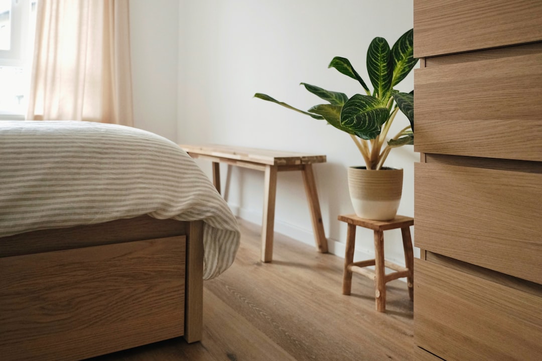Plants for Bedroom Setting