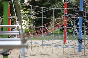 Child Safety Net
