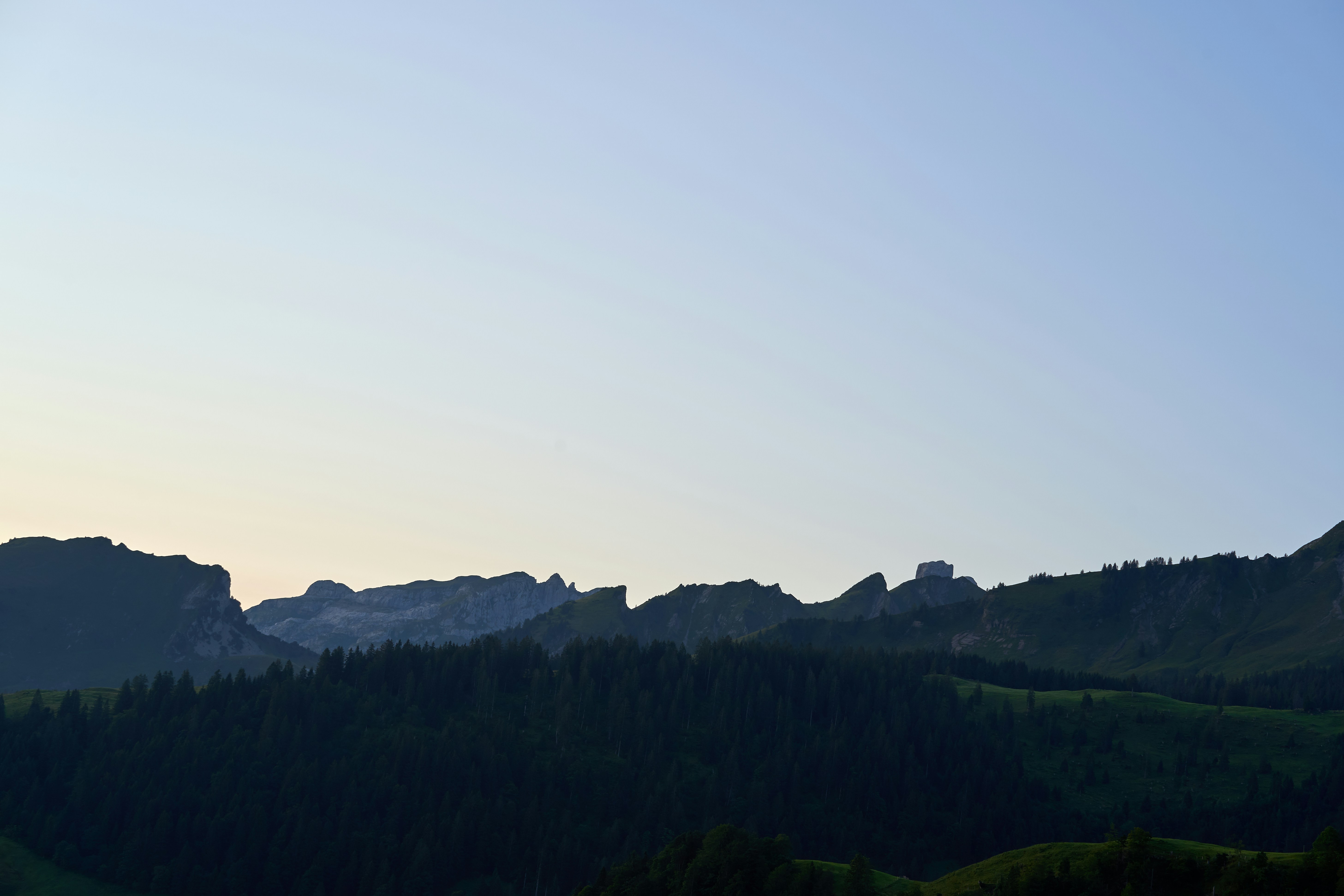 Photo by wolfgang_hasselmann