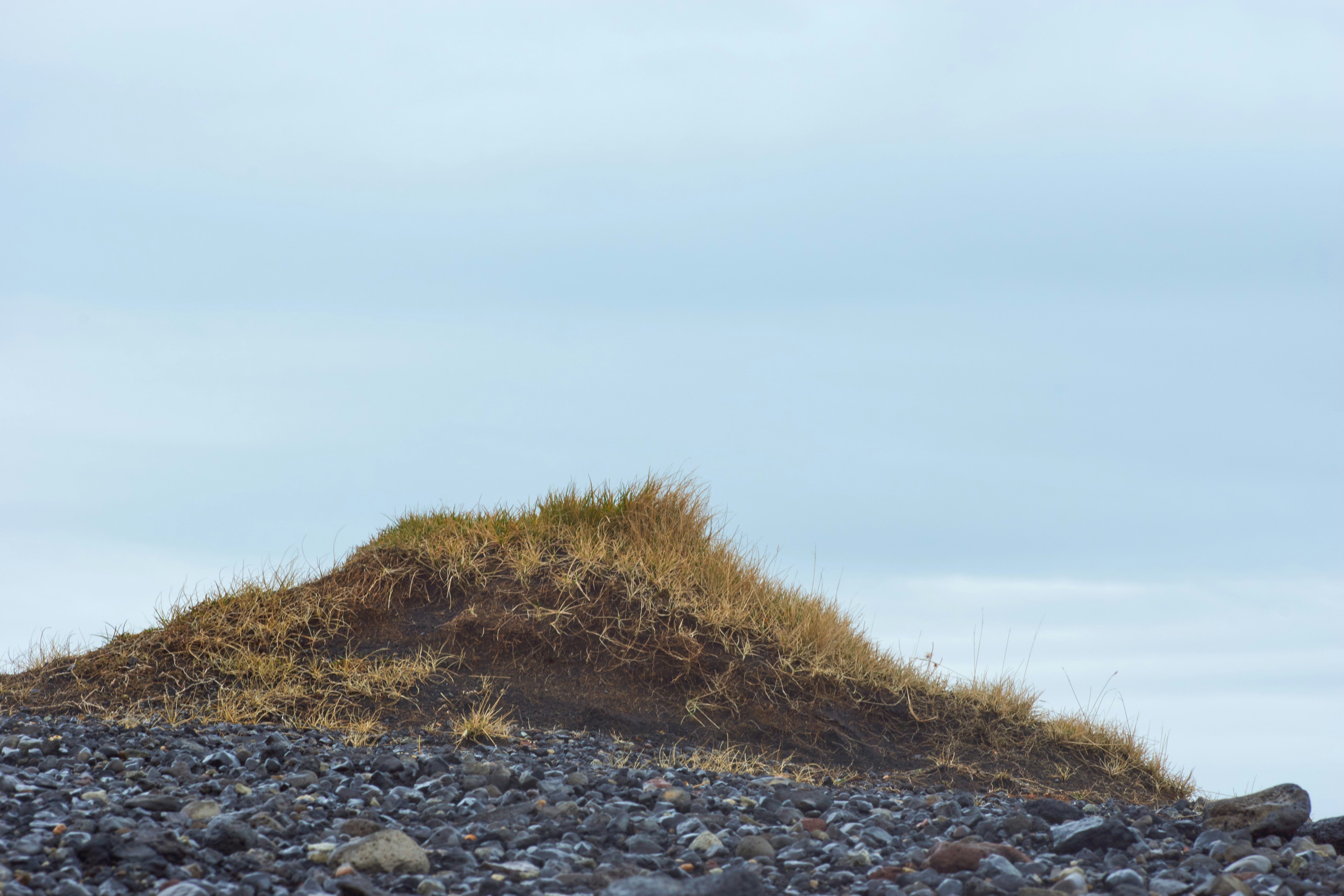 green grass on rocky ground under white sky during daytime
