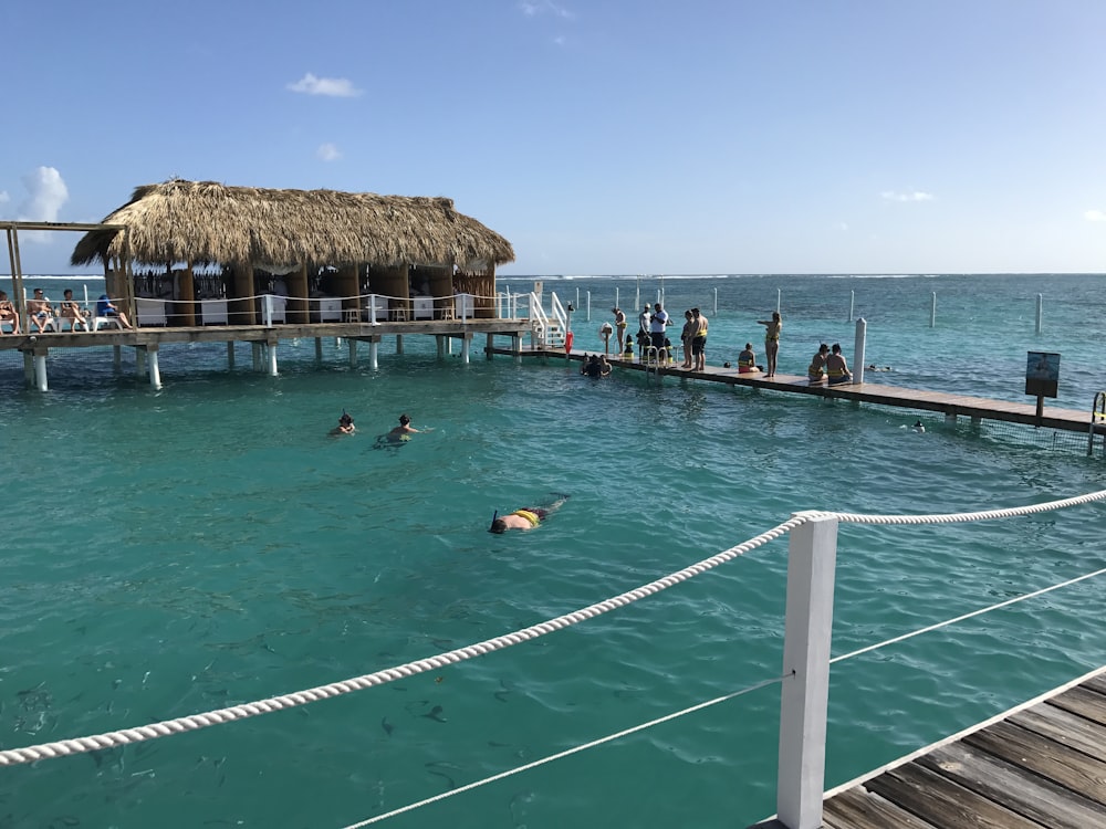 昼間、茶色の木造のビーチハウスの近くの海で泳ぐ人々