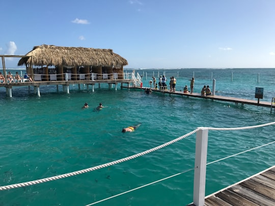 people swimming on sea near brown wooden beach house during daytime in Punta Cana Dominican Republic