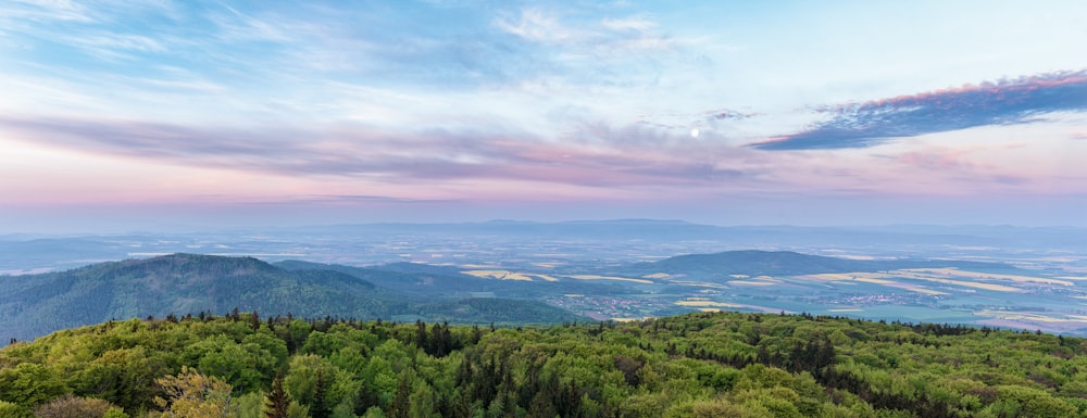 árvores verdes na montanha sob nuvens brancas durante o dia