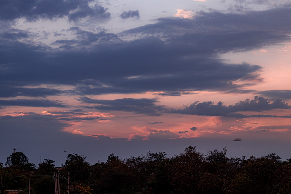 夕暮れ時の曇り空の下の緑の木々