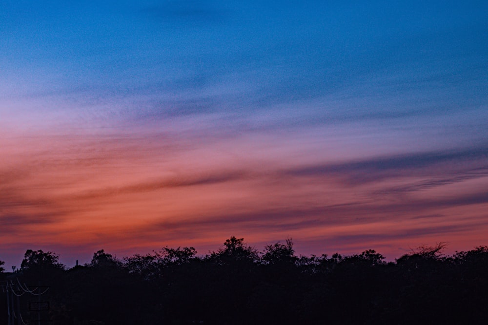 silhouette of trees under orange and blue sky