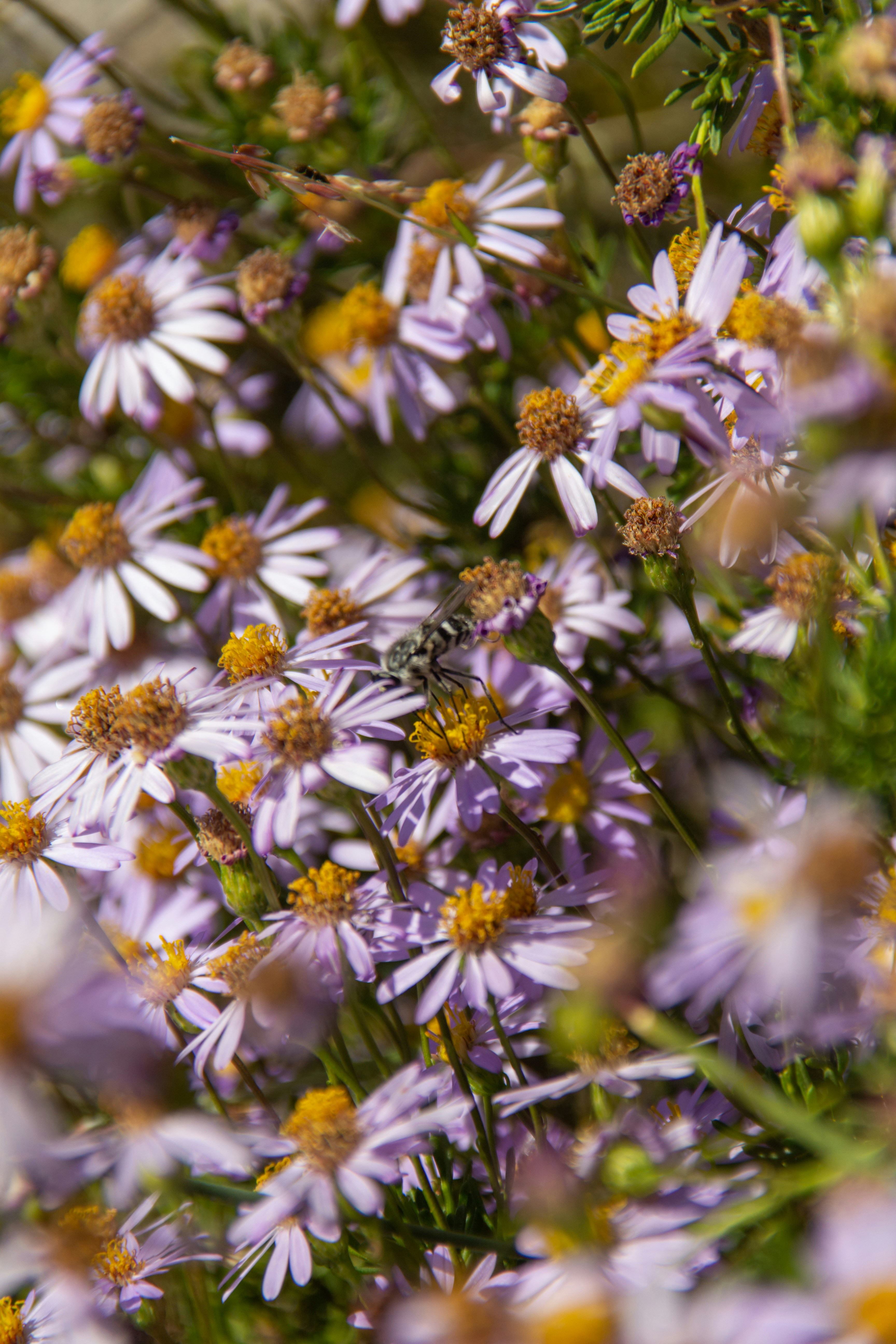 Photo by original_glb