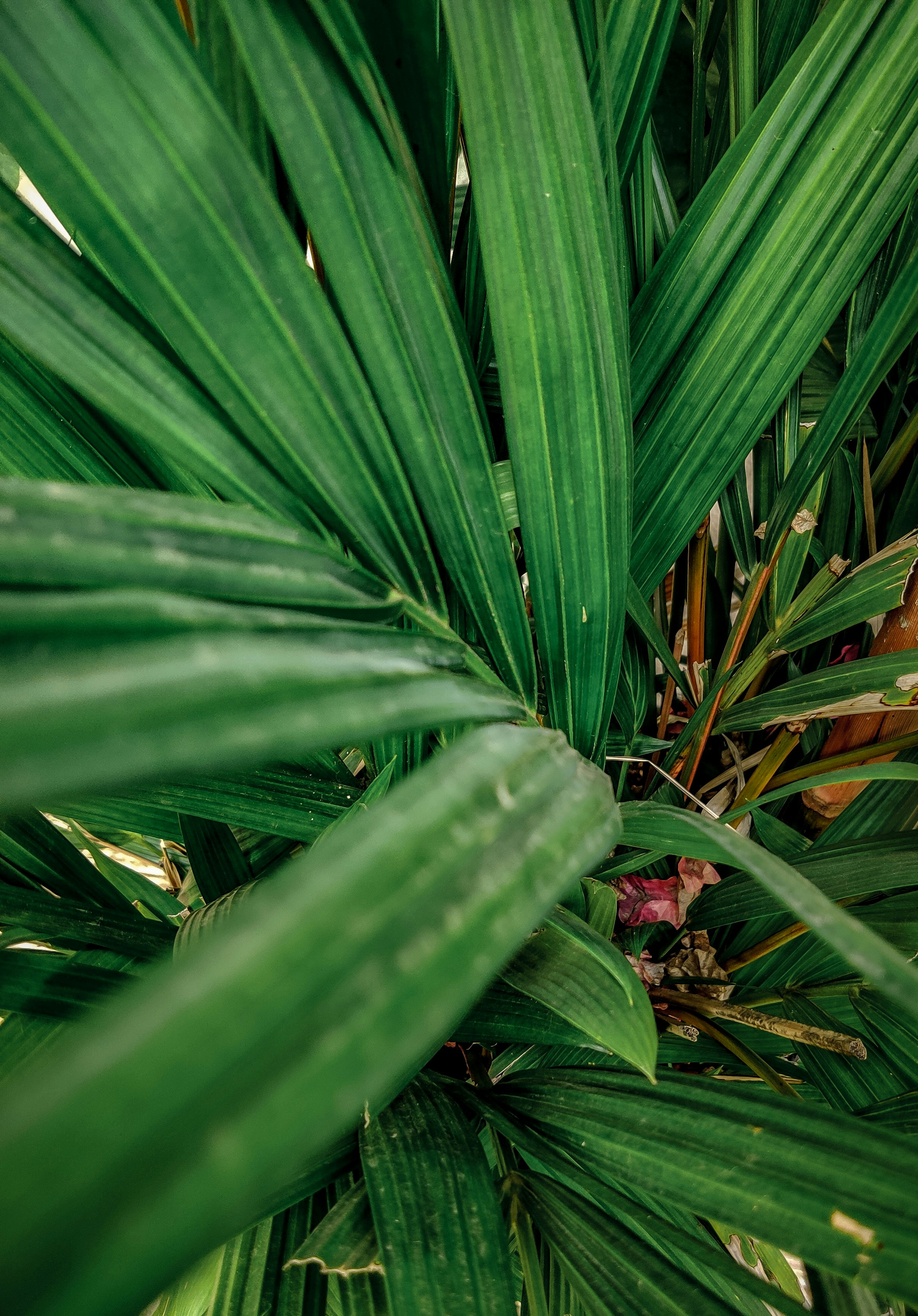 Photo by pawankotharkar