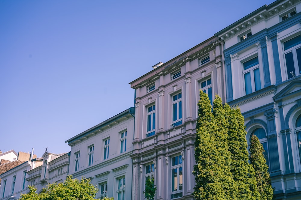 white concrete building with green trees in front under blue sky during daytime