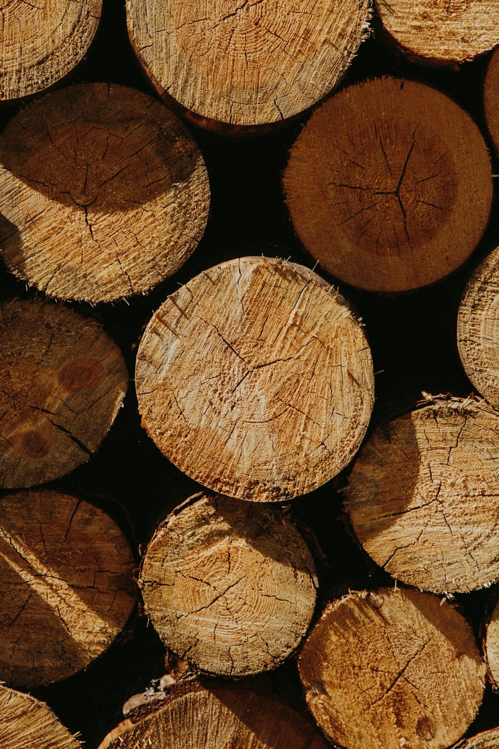 brown wood logs in close up photography