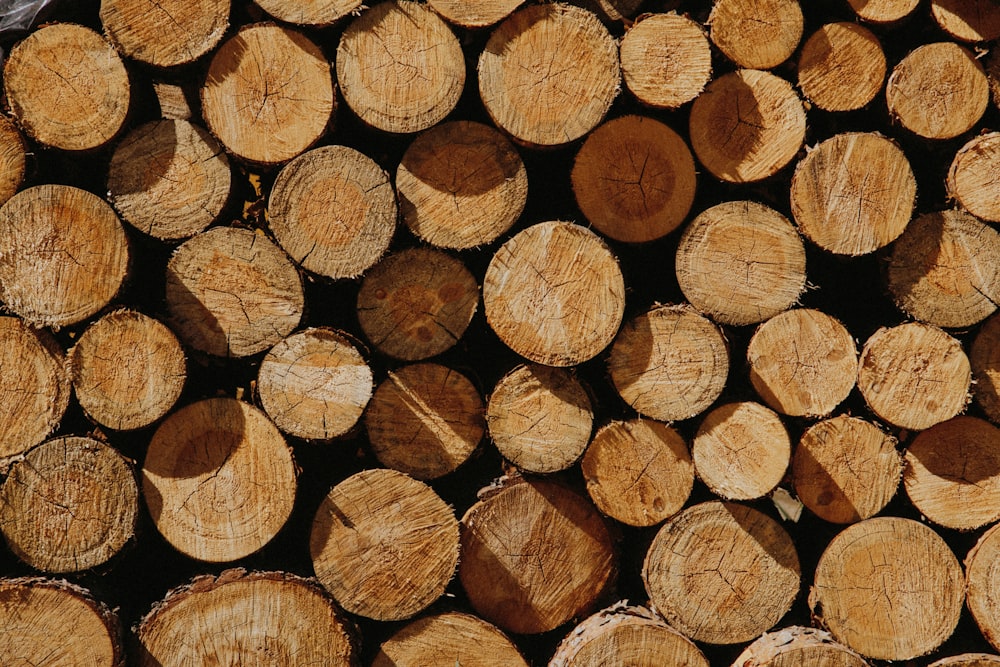 brown wood log lot in close up photography