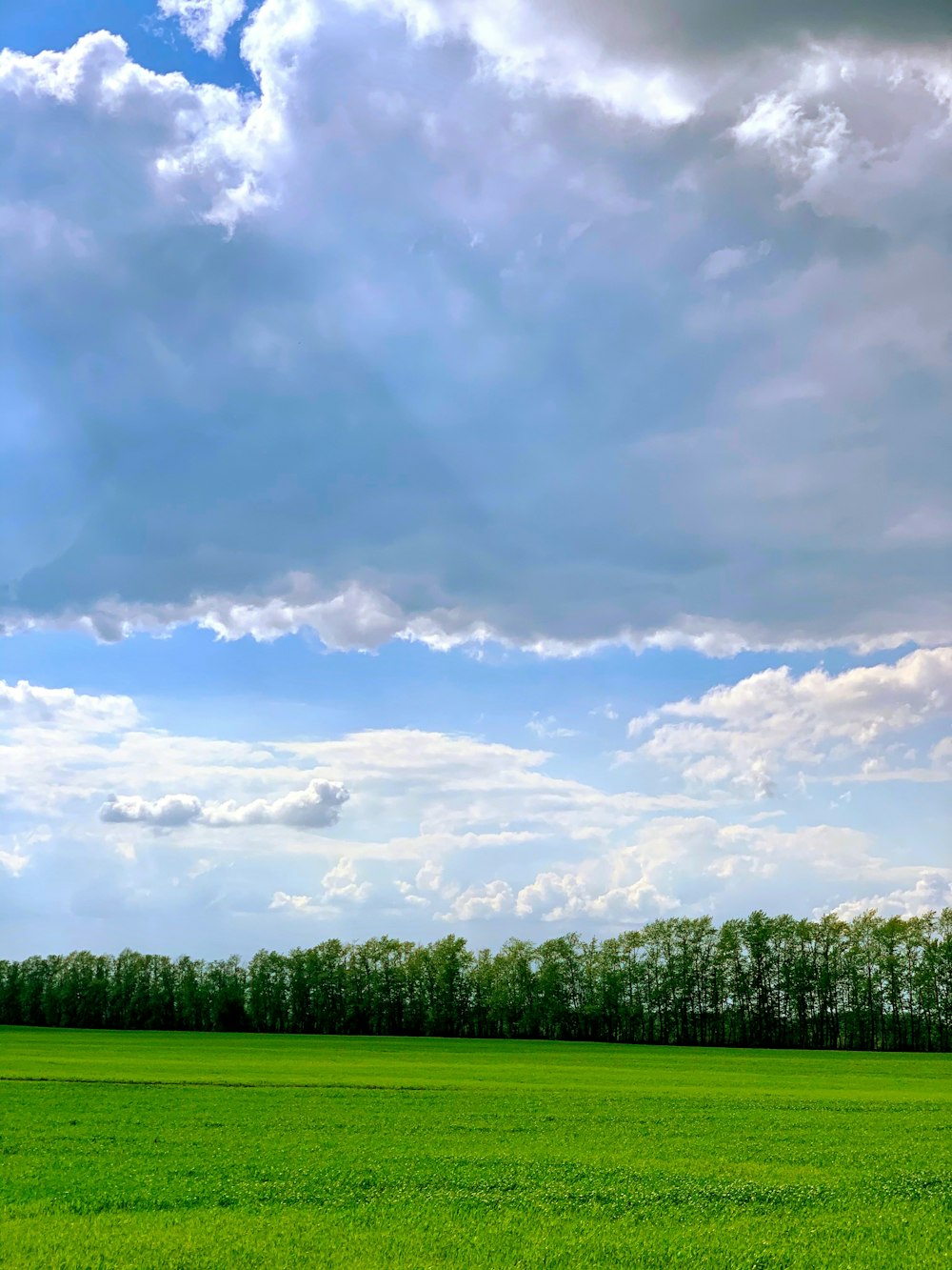 green grass field under white clouds and blue sky during daytime
