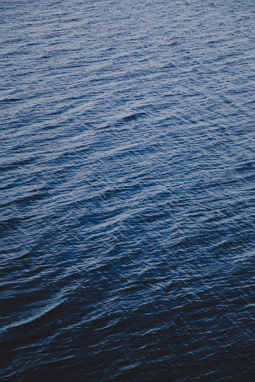 blue body of water during daytime