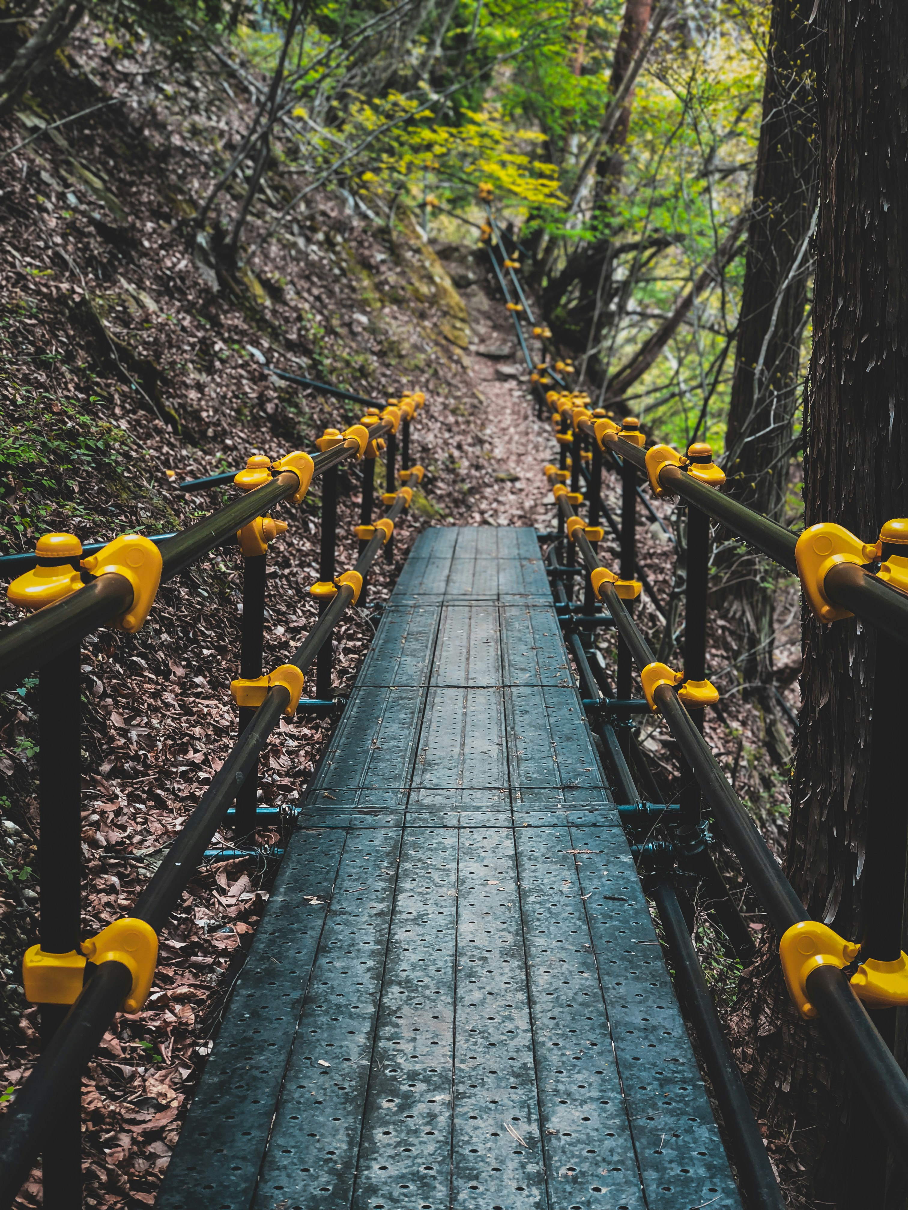 brown wooden bridge in between trees during daytime