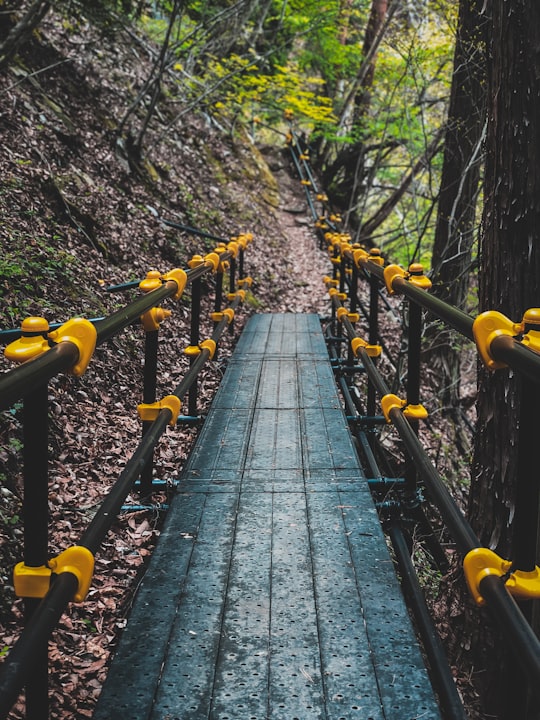 brown wooden bridge in between trees during daytime in Fujiyoshida Japan