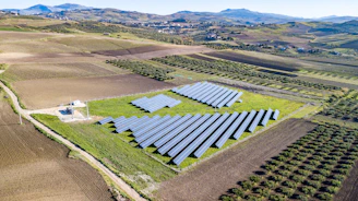 aerial view of green grass field during daytime