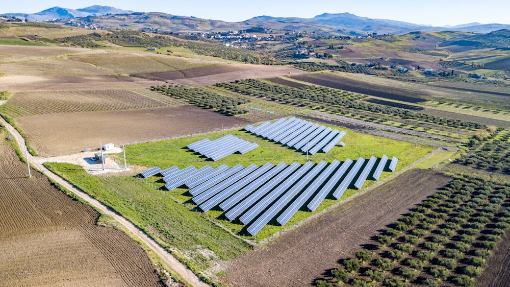 Veduta aerea del campo di erba verde durante il giorno