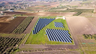 An aerial view of a vast agricultural landscape featuring a solar panel farm at the center. The panels are arranged systematically on green grass, surrounded by expansive fields with varying shades of brown and green. Patches of vegetation, possibly olive trees, are visible lining some of the fields. The area extends into the distance with rolling hills and scattered settlements.