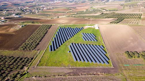 An aerial view of a vast agricultural landscape featuring a solar panel farm at the center. The panels are arranged systematically on green grass, surrounded by expansive fields with varying shades of brown and green. Patches of vegetation, possibly olive trees, are visible lining some of the fields. The area extends into the distance with rolling hills and scattered settlements.