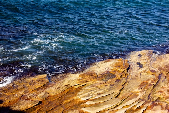 brown rocky shore near body of water during daytime in Cronulla Beach Australia