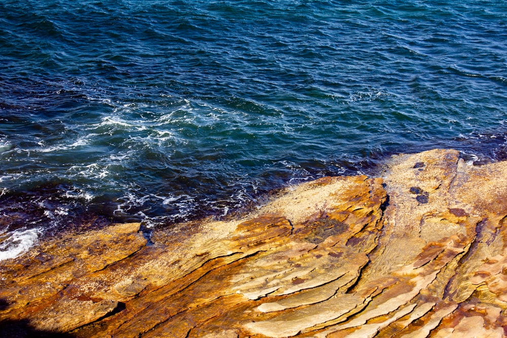 日中の水域近くの茶色の岩場の海岸