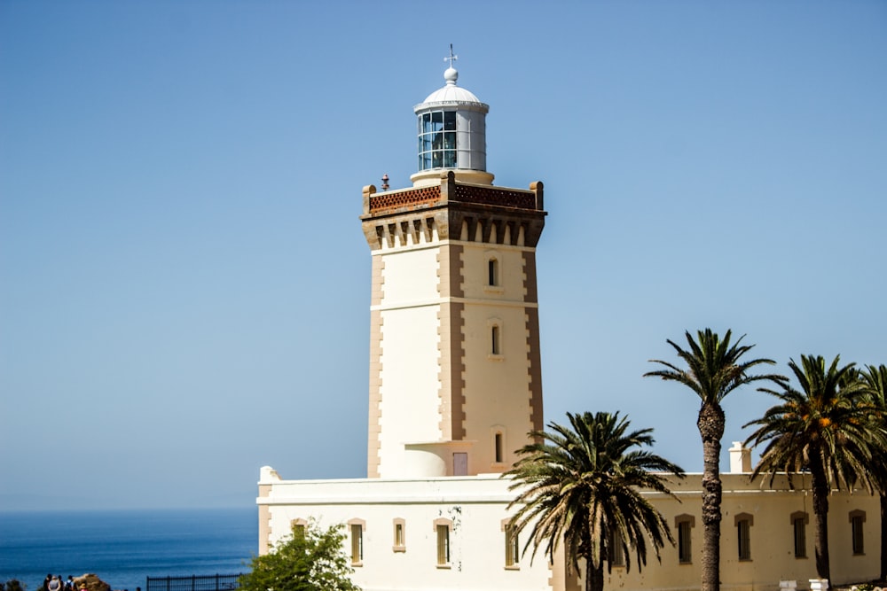 Edificio de hormigón blanco cerca de Palm Tree durante el día