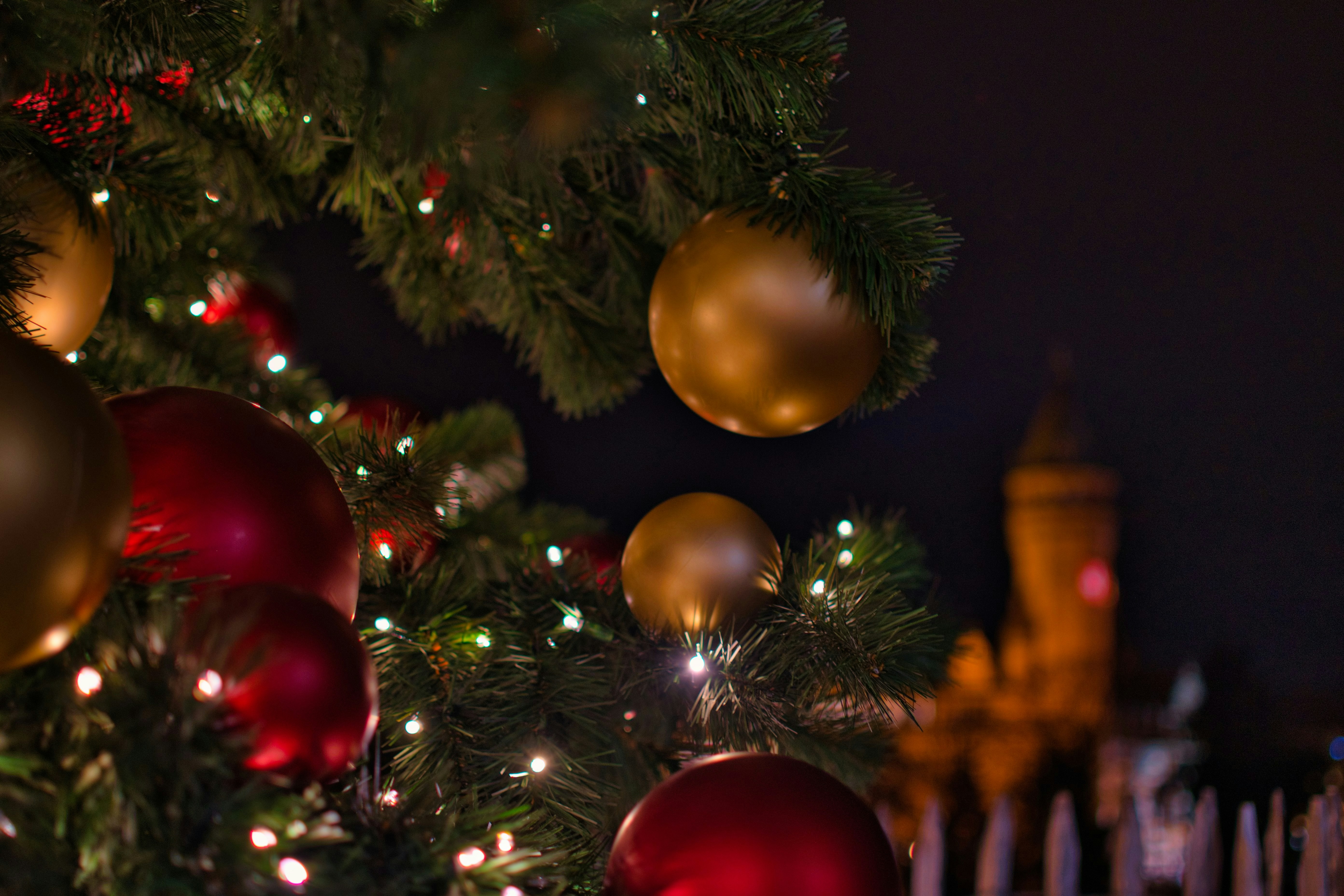 Photo by gabor_koszegi