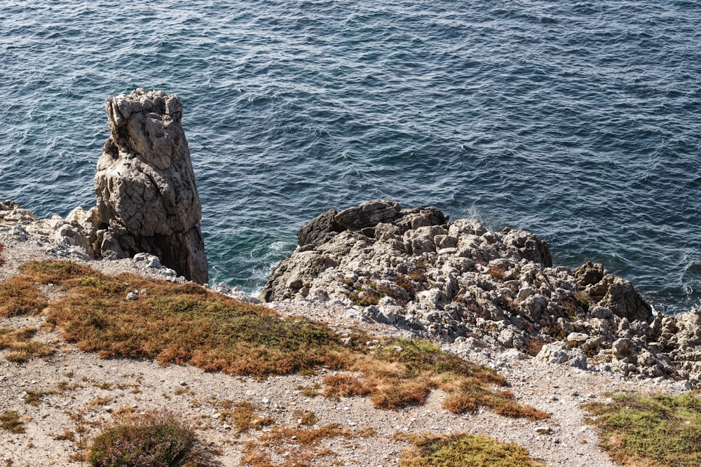 gray rock formation beside body of water during daytime