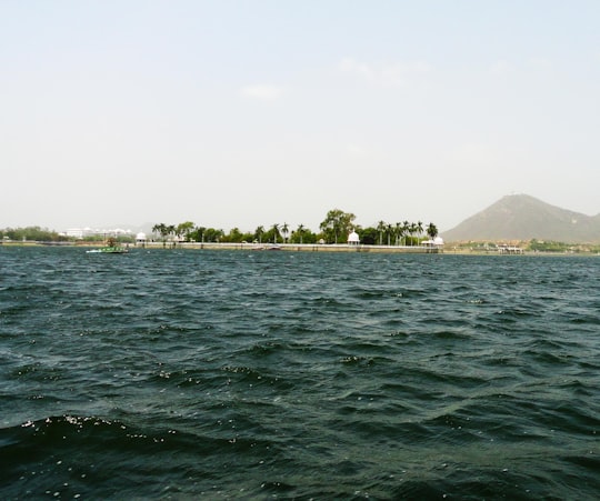 green trees on island surrounded by water during daytime in Udaipur India