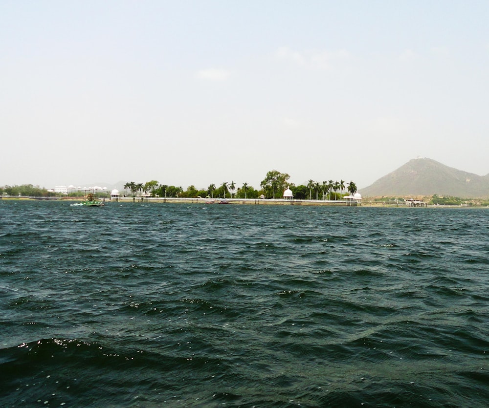 alberi verdi sull'isola circondata dall'acqua durante il giorno