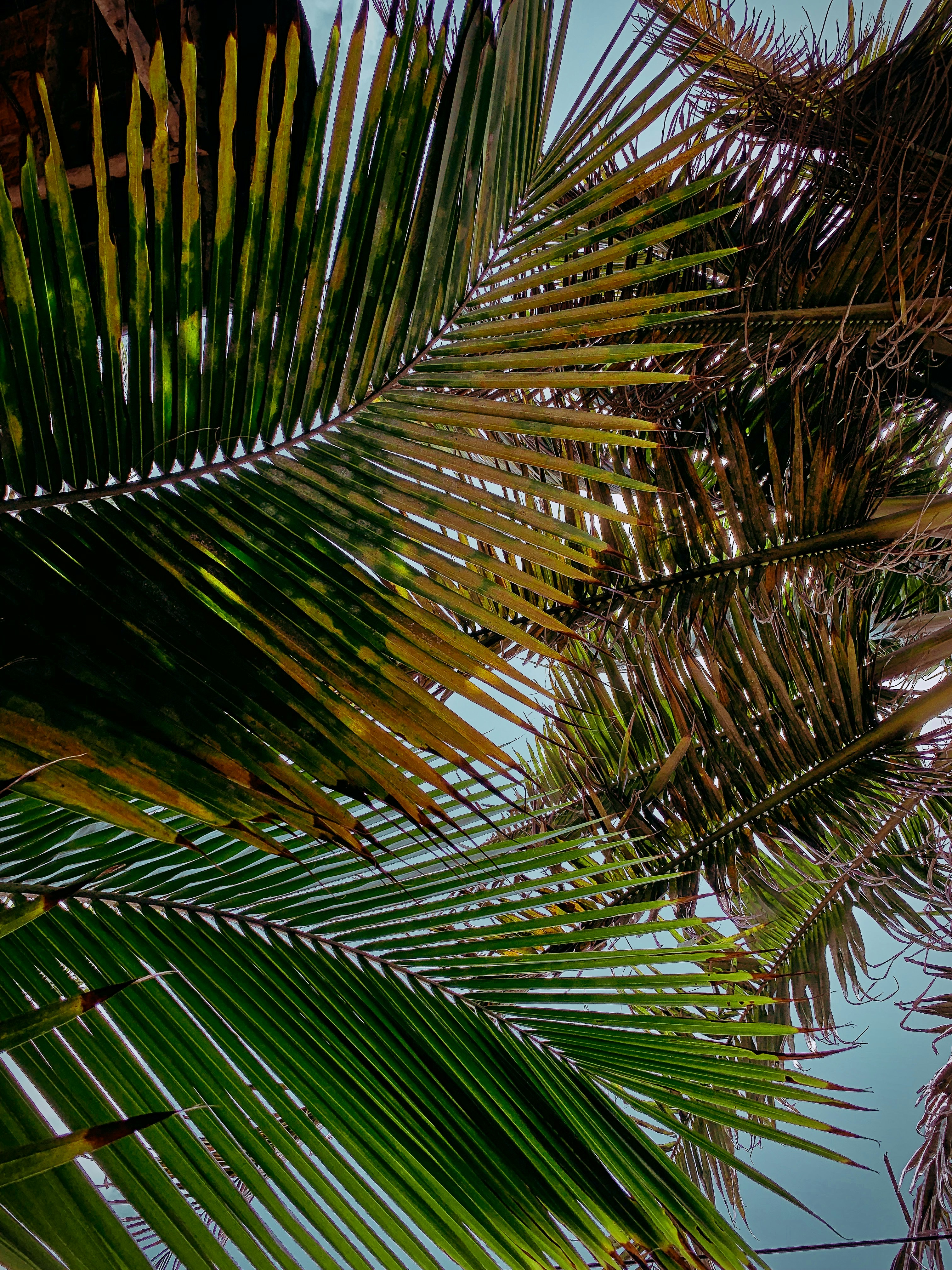 Photo by thegullygaze