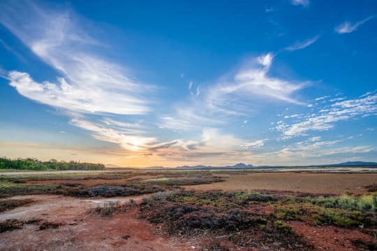 brown field under blue sky during daytime in Zilzie QLD Australia