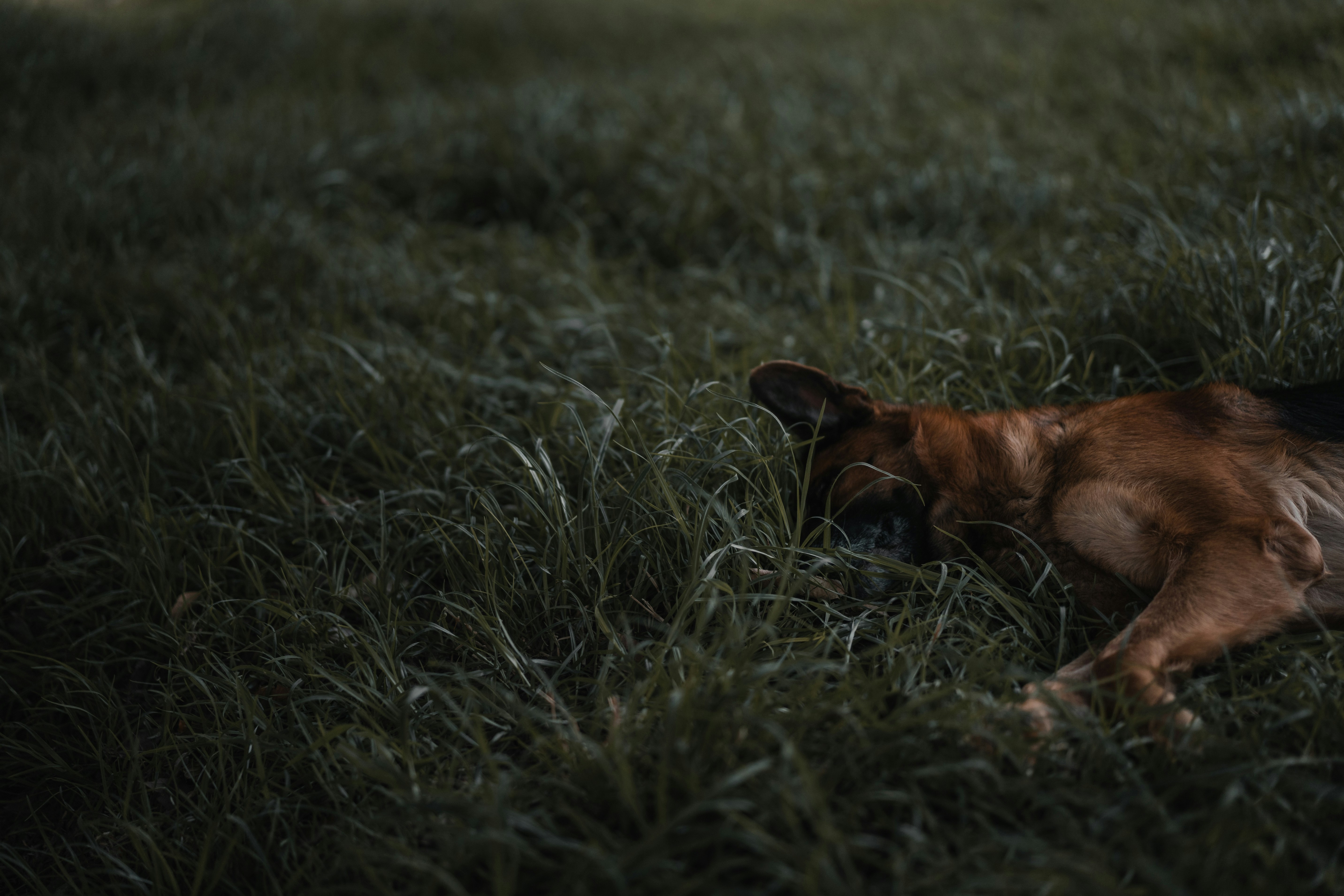 Muscle Recovery: What Slumps and Stretches Tell Us