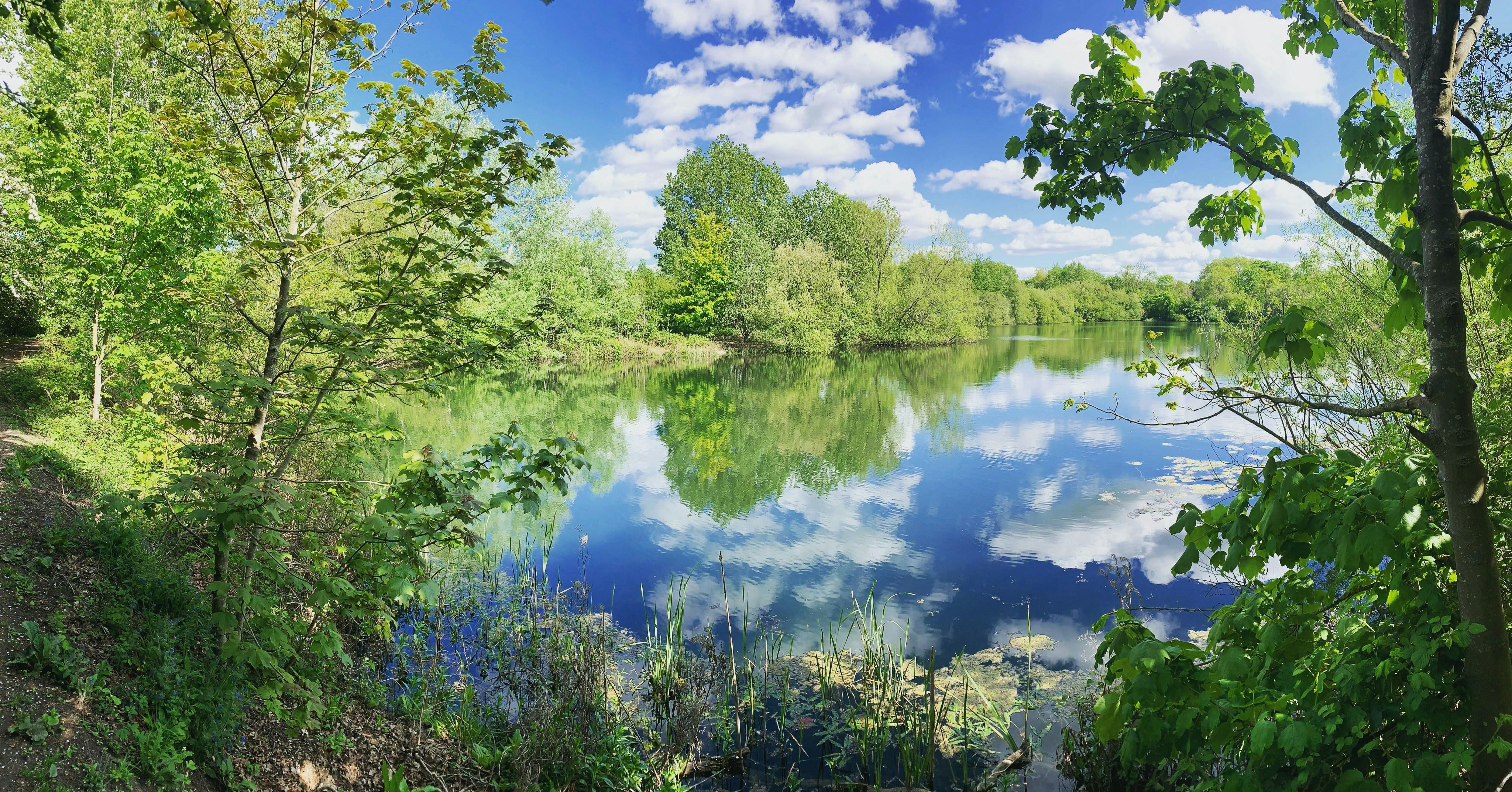 Photo by jasmineroanna