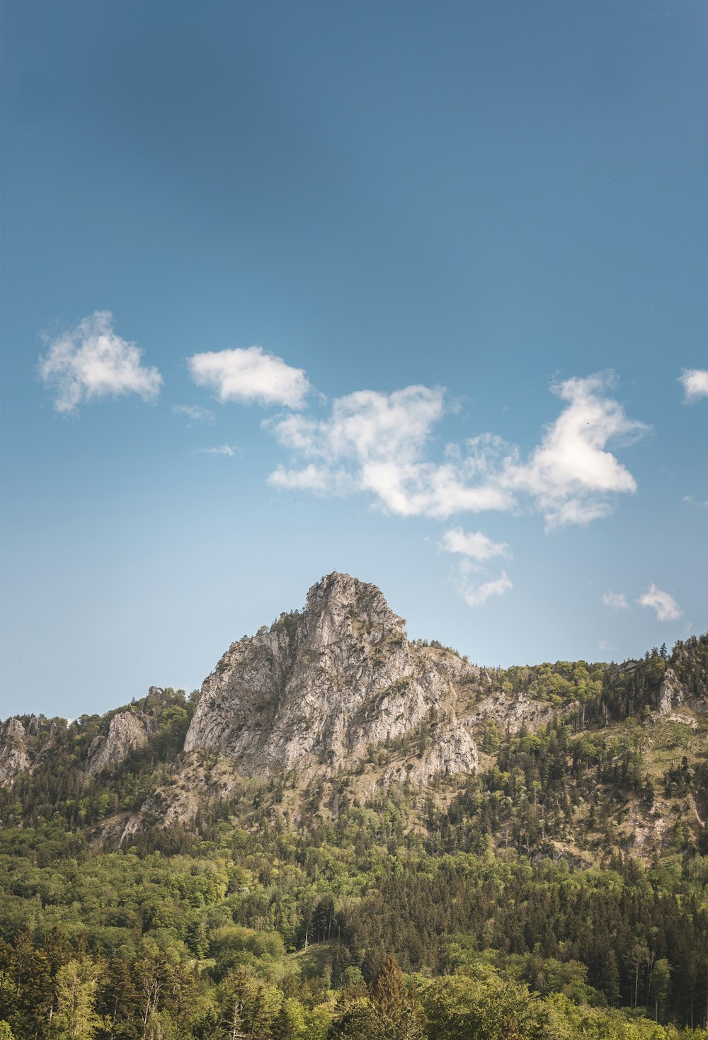 green trees on mountain under blue sky during daytime