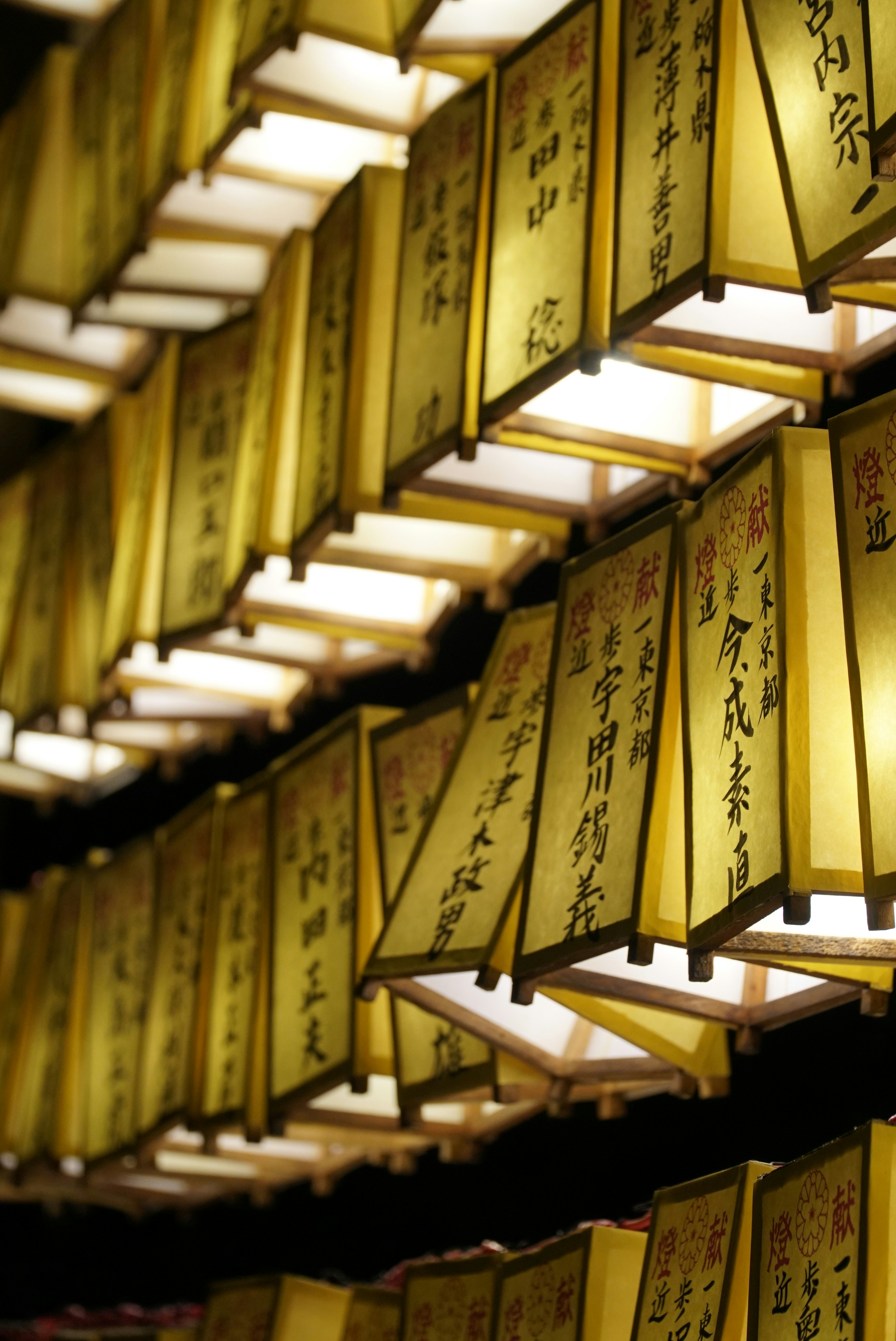 Photo by ernestocalderond