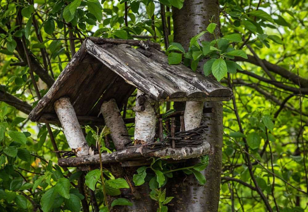 a bird house made out of branches and logs
