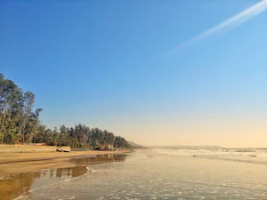 Alibaug