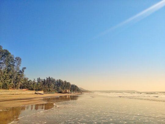 green trees near body of water during daytime in Murud Beach India