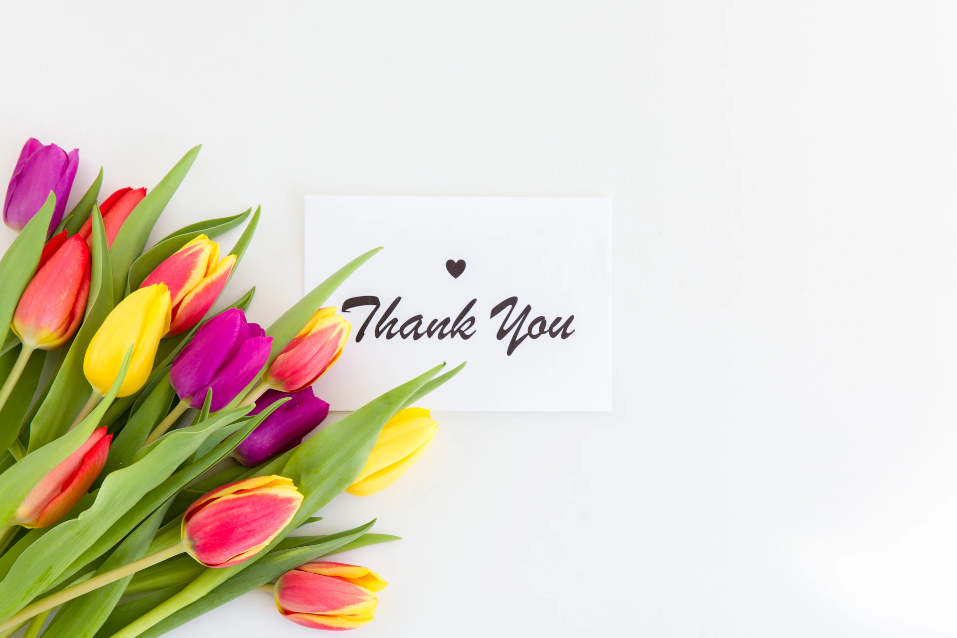 pink tulips with happy birthday greeting card