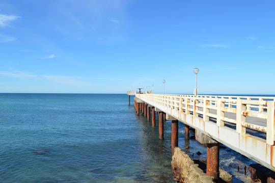 white wooden dock on sea under blue sky during daytime in Miramar Argentina