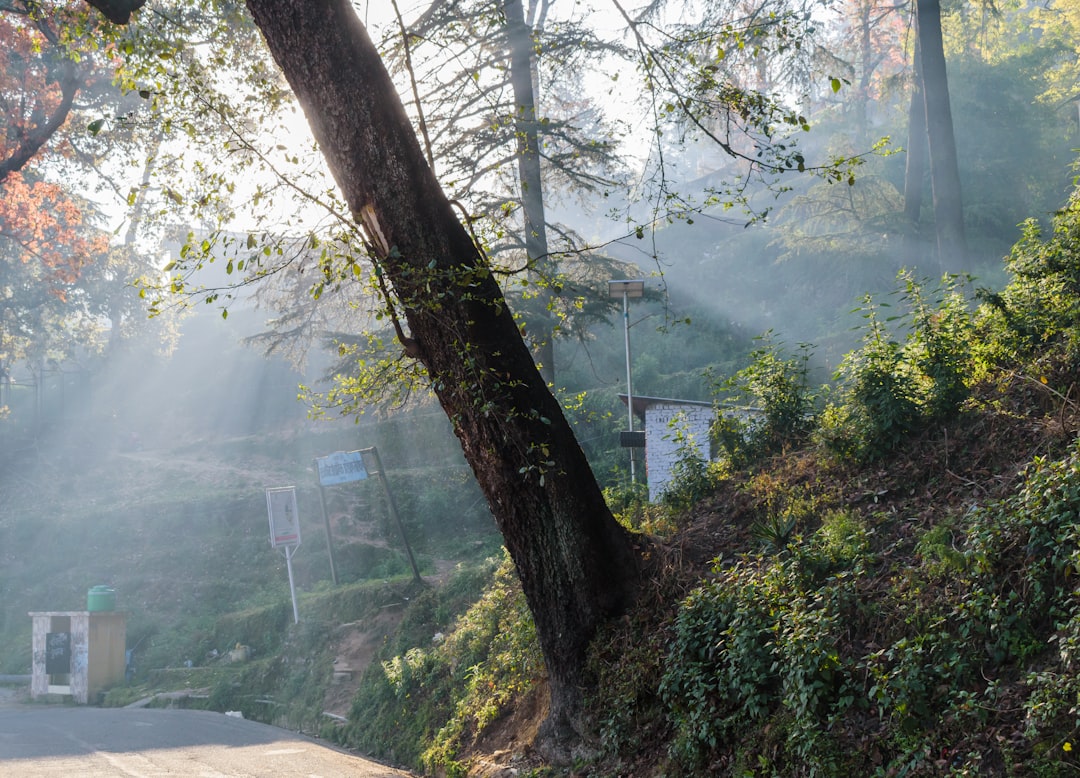 Nature reserve photo spot Almora Jim Corbett National Park