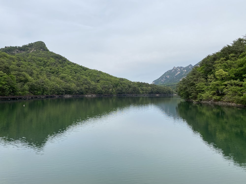 green trees near lake under white sky during daytime