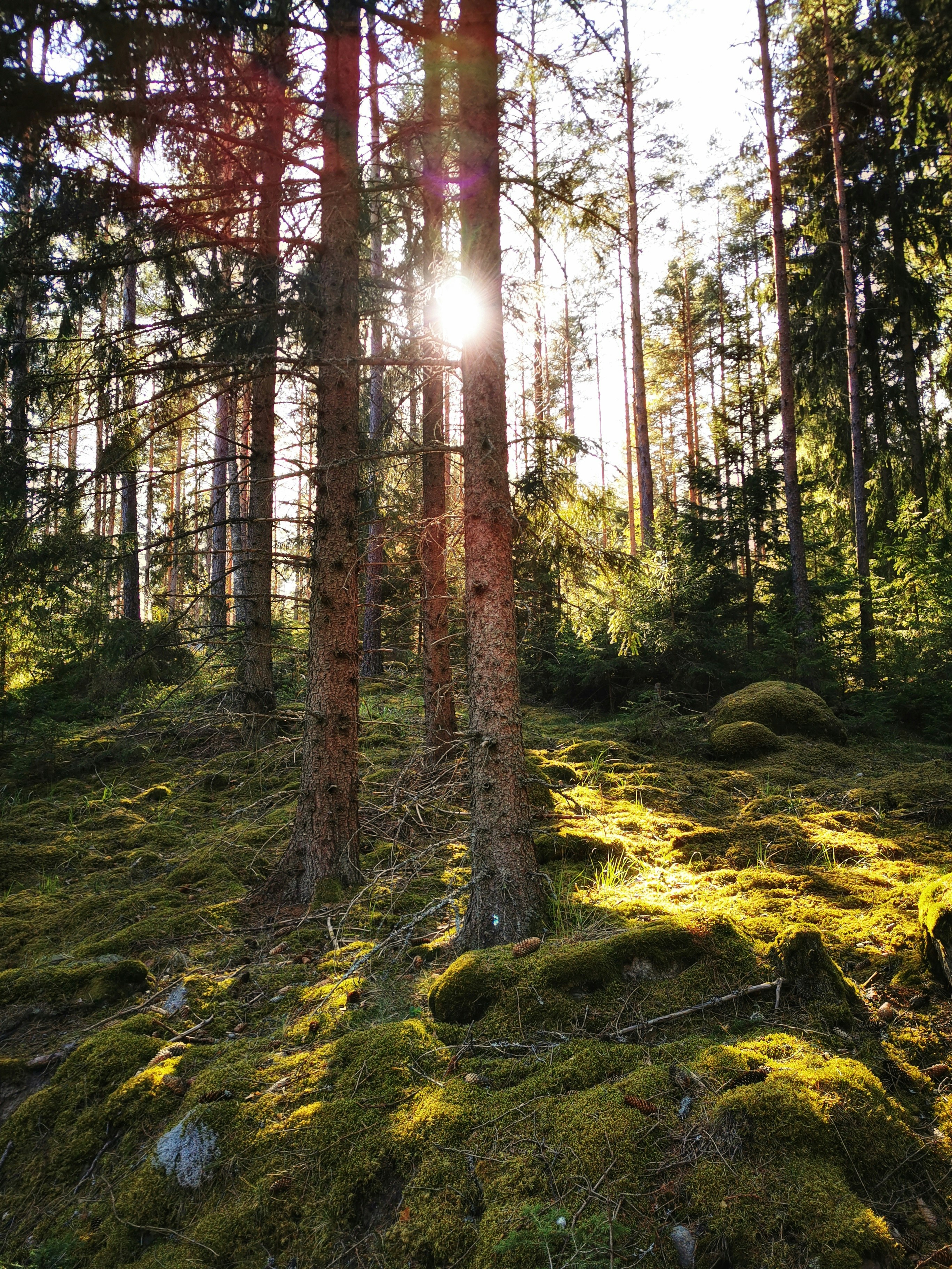 Photo by malinstrandvall