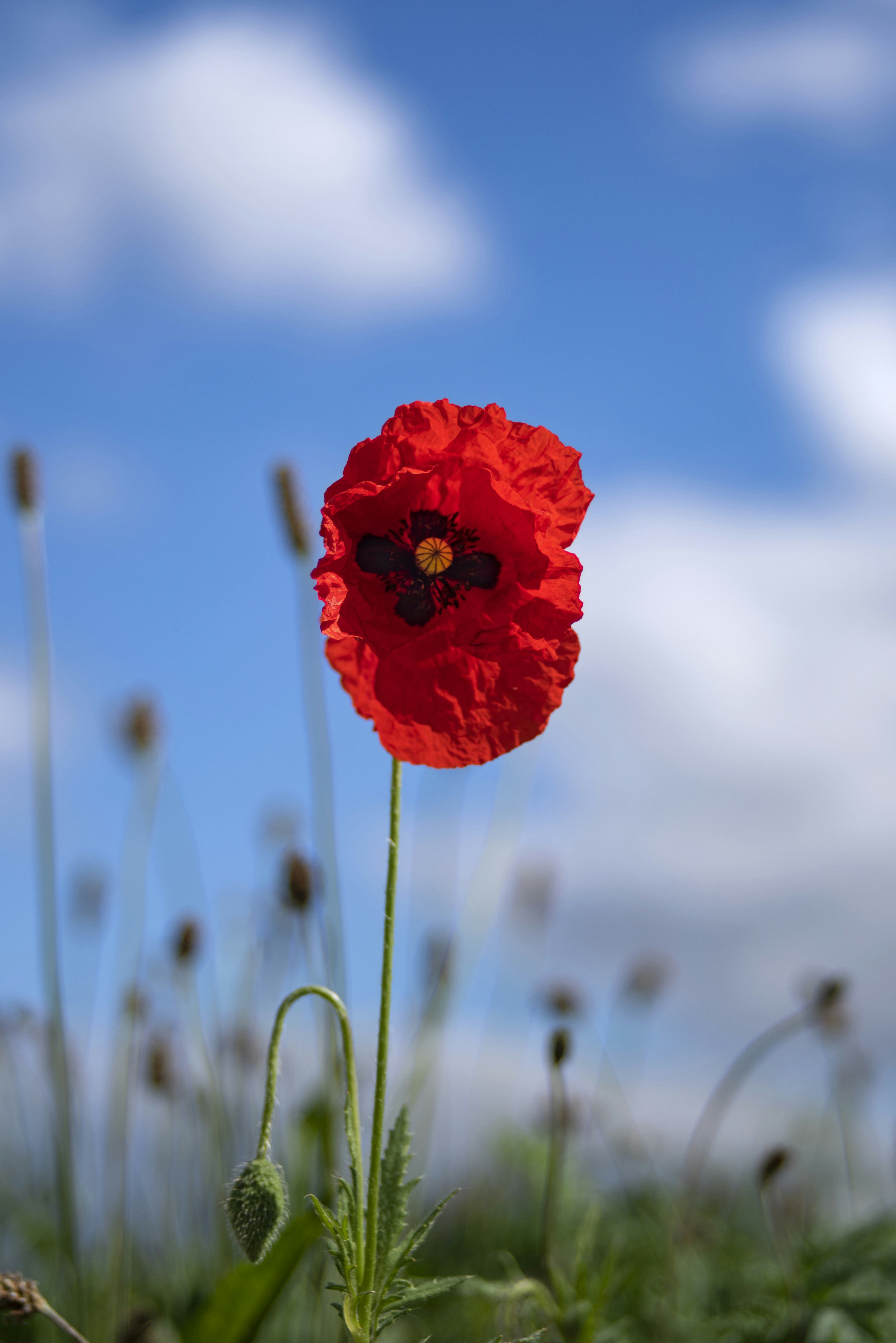 Photo by switch_dtp_fotografie